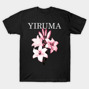 Yiruma Instrumental T-Shirt